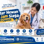 Dokter Hewan 24 Jam Siaga Ciputat