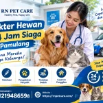 Dokter Hewan 24 Jam Siaga Pamulang