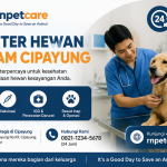 Dokter Hewan 24 Jam Cipayung