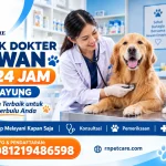 Klinik Dokter Hewan 24 Jam Cipayung