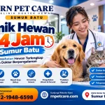 Klinik Dokter Hewan 24 Jam Sumur Batu