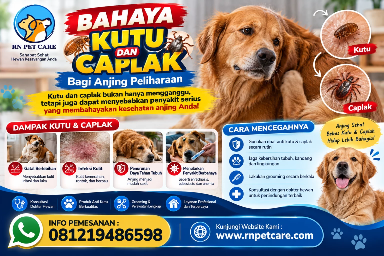 Bahaya Kutu dan Caplak bagi Anjing Peliharaan