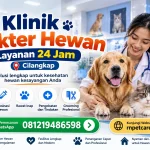 Klinik Dokter Hewan Layanan 24 Jam Cilangkap