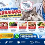 Makanan yang Berbahaya bagi Kucing Peliharaan