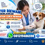 Dokter Hewan Menjelaskan Perawatan Luka Hewan