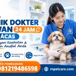 Klinik Dokter Hewan 24 Jam Ciracas