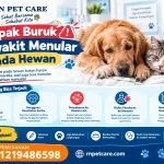 Dampak Buruk Penyakit Menular Pada Hewan