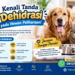 Kenali Tanda Dehidrasi pada Hewan Peliharaan!