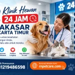 Klinik Hewan 24 Jam Makasar