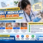 Dokter Hewan Menjelaskan Penyakit Menular Kucing