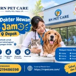 Klinik Dokter Hewan 24 Jam Depok