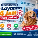 Klinik Hewan Layanan 24 Jam Pulo Gadung