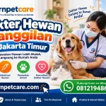 Dokter Hewan Panggilan Jakarta Timur