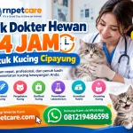 Klinik Dokter Hewan 24 Jam untuk Kucing Cipayung