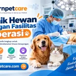 Klinik Hewan Dengan Fasilitas Operasi