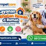 Layanan Kesehatan Hewan di Rumah