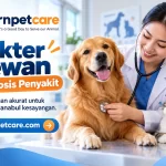 Dokter Hewan Diagnosis Penyakit