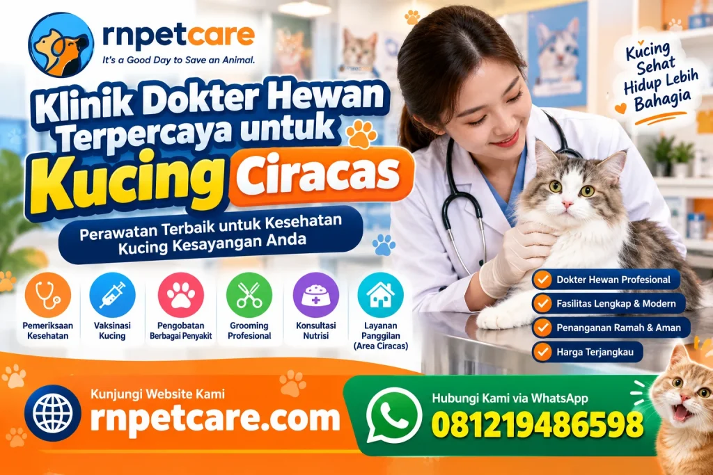 Klinik Dokter Hewan Terpercaya untuk Kucing Ciracas