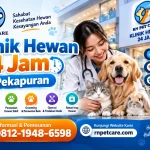 Klinik Hewan 24 Jam Pekapuran