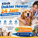 Klinik Dokter Hewan 24 Jam Terpercaya Cakung