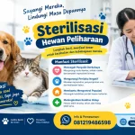 Dokter Hewan Jelaskan Manfaat Sterilisasi pada Hewan
