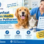 Manfaat Rekam Medis Hewan Peliharaan untuk Perawatan Jangka