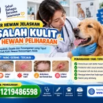 Dokter Hewan Jelaskan Masalah Kulit pada Hewan Peliharaan