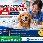 Klinik Hewan Emergency 24 Jam Matraman