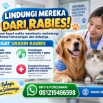 Manfaat Vaksin Rabies untuk Kucing dan Anjing