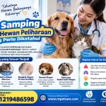 Efek Samping Vaksin Hewan Peliharaan yang Perlu Diketahui