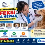 Kenali Tanda Tanda Infeksi pada Hewan dan Penanganan