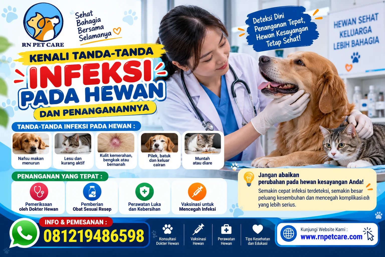 Kenali Tanda Tanda Infeksi pada Hewan dan Penanganan